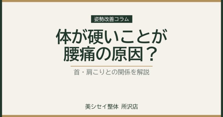 体が硬いことが腰痛、首・肩こりの原因？｜美シセイ整体 所沢